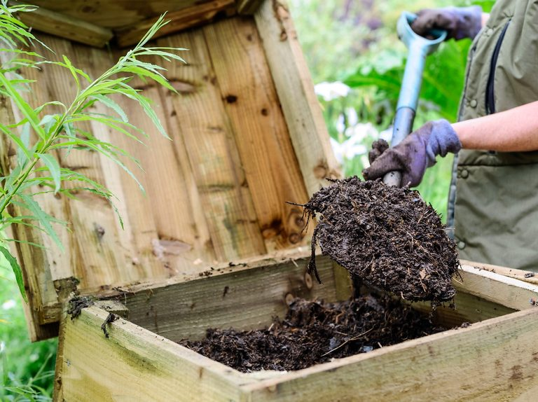 Compost heap